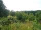 Zem�d�lsk� pozemek k prodeji, D�tmarovice