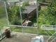 Apartament building, Nov� M�sto pod Smrkem - photo nr.10