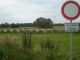 Pozemek k prodeji, Hradec Králové / Slezské Předměstí