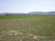 Building lot for sale, Štítina