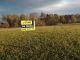 Building lot for sale, Havířov / Dolní Datyně