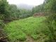 Building lot for sale, Liberec / Liberec XVII-Kateřinky