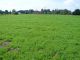 Building lot for sale, Rychvald