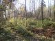 Lots / Land, Opava / Kylešovice - photo nr.5