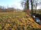 Zemědělský pozemek, Kozlovice - fotografie č.6