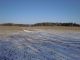 Zem�d�lsk� pozemek, T�eb�� / Pt��ov - Pozemek �. 5