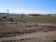 Zem�d�lsk� pozemek, T�eb�� / Pt��ov - Pozemek �. 1