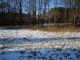 Zem�d�lsk� pozemek, T�eb�� / Pt��ov - Pozemek �. 2