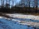 Zem�d�lsk� pozemek, T�eb�� / Pt��ov - Pozemek �. 2