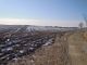 Zem�d�lsk� pozemek, T�eb�� / Pt��ov - Pozemek �. 3