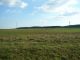Agricultural land for sale, Určice