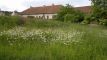 Building lot for sale, Zadn� Zho�ec