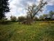 Family house, Milotice nad Opavou - photo nr.13