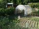 Garden, Třinec / Oldřichovice - photo nr.22