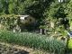 Garden, Třinec / Oldřichovice - photo nr.4