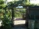 Garden, Třinec / Oldřichovice - photo nr.6
