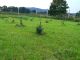 Agricultural land for sale, Velké Losiny