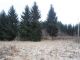 Building lot for sale, T�ni�t� nad Orlic�
