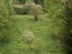 Stavebn� pozemek k prodeji, Zlat� Hory / Horn� �dol�