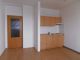 Byt 2+1 k pron�jmu, Plze� / V�chodn� P�edm�st�, ulice Americk�