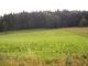 Agricultural land for sale, Lučany nad Nisou / Jindřichov