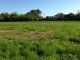 Building lot for sale, Vřesina