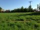 Building lot for sale, Vřesina