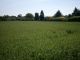 Building lot for sale, Kravaře / Kouty