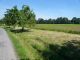 Building lot for sale, Albrechtice