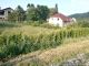 Building lot for sale, Velké Březno