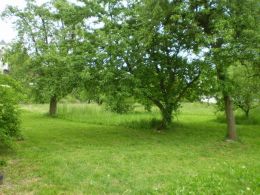 Building lot, Velk� Albrechtice - photo nr.1