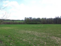 Agricultural land, Bruzovice - photo nr.1