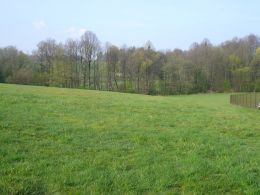 Building lot, Bruzovice - photo nr.1