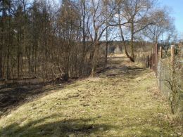 Pozemek, Ludv�kovice - fotografie �.1