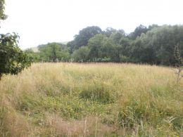 Stavebn� pozemek, Opava / Kom�rovsk� Chaloupky - fotografie �.1