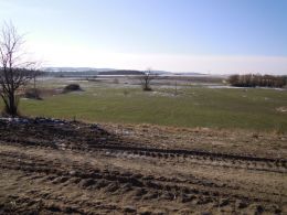 Zem�d�lsk� pozemek, T�eb�� / Pt��ov - Pozemek �. 1