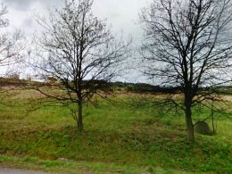 Pozemek pro komerci, �st� nad Labem / �st� nad Labem-centrum - fotografie �.1