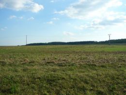 Zem�d�lsk� pozemek, Ur�ice - fotografie �.1