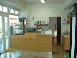 Komer�n� nemovitost, Opava / P�edm�st� - fotografie �.1