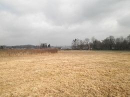 Pozemek, Fr�dek-M�stek / Lys�vky - fotografie �.1