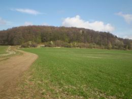 Pozemek, Jankovice - fotografie �.1