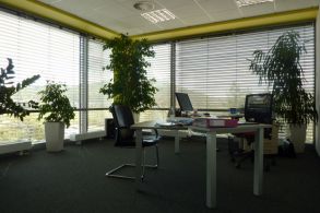 Komer�n� nemovitost, Brno / �abov�esky - fotografie �.1