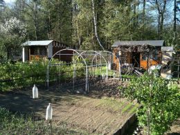 Garden, T�inec / Old�ichovice - photo nr.1