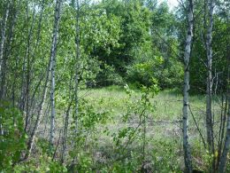 Lots / Land, Ostrava / Radvanice - photo nr.1