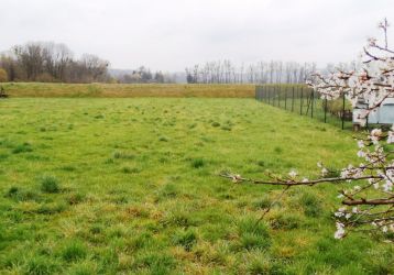 Stavební pozemek na prodej, Moravičany / Mitrovice