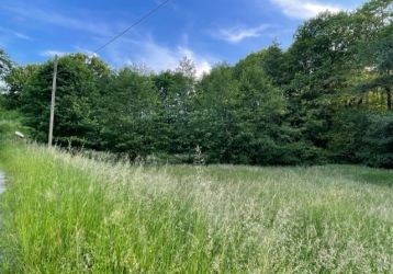 Pozemek na prodej, Třinec / Oldřichovice