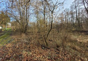 Pozemek na prodej, Orlová / Město