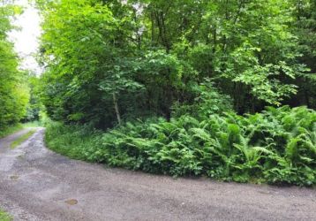 Stavební pozemek na prodej, Orlová / Město