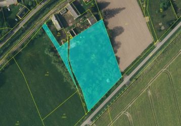 Zahrada na prodej, Javorník