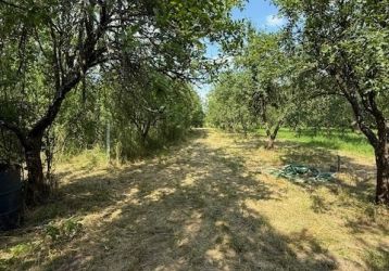 Zahrada na prodej, Strážnice